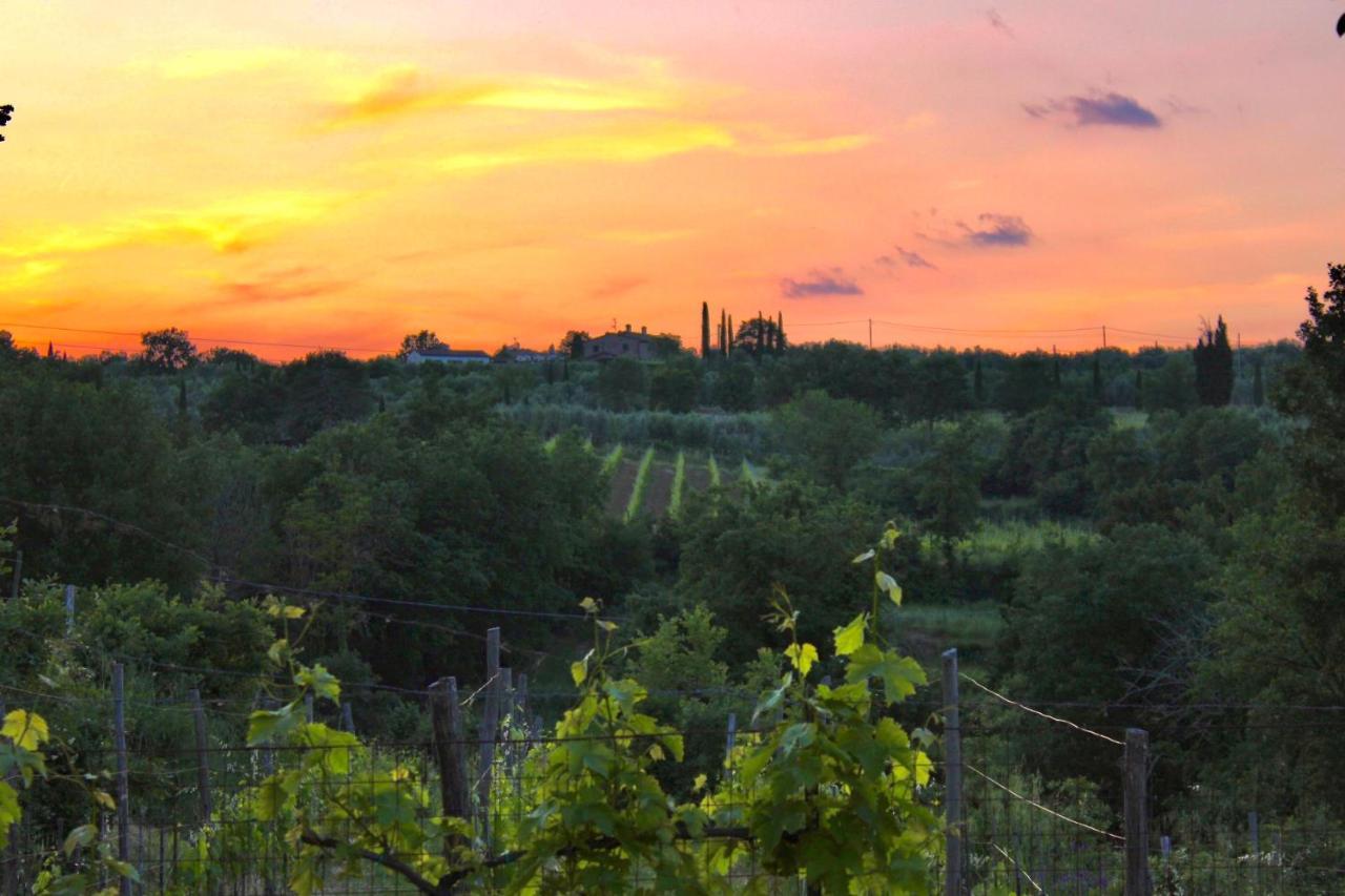 B&B Terre Toscane Ciggiano Bagian luar foto