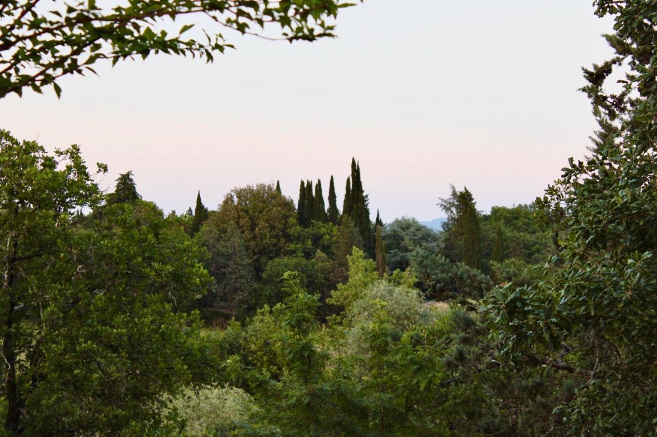 B&B Terre Toscane Ciggiano Bagian luar foto
